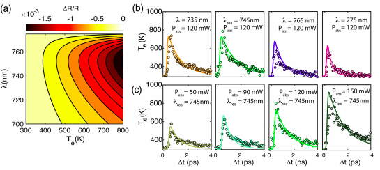 Surface Plasmon Assisted Control of Hot-Electron Relaxation Time